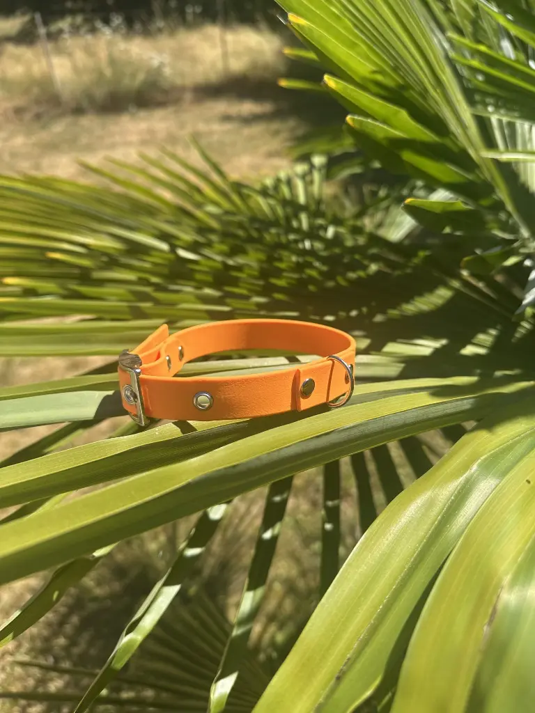 collier orange 2.webp
