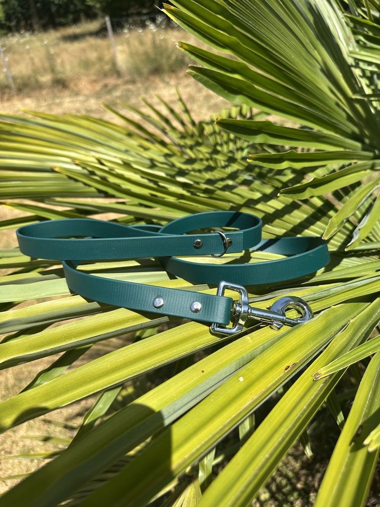 [LAISSE-BIOTHANE-VERT-FONCE] Laisse - Biothane - 1m20 - 19mm (Vert foncé)