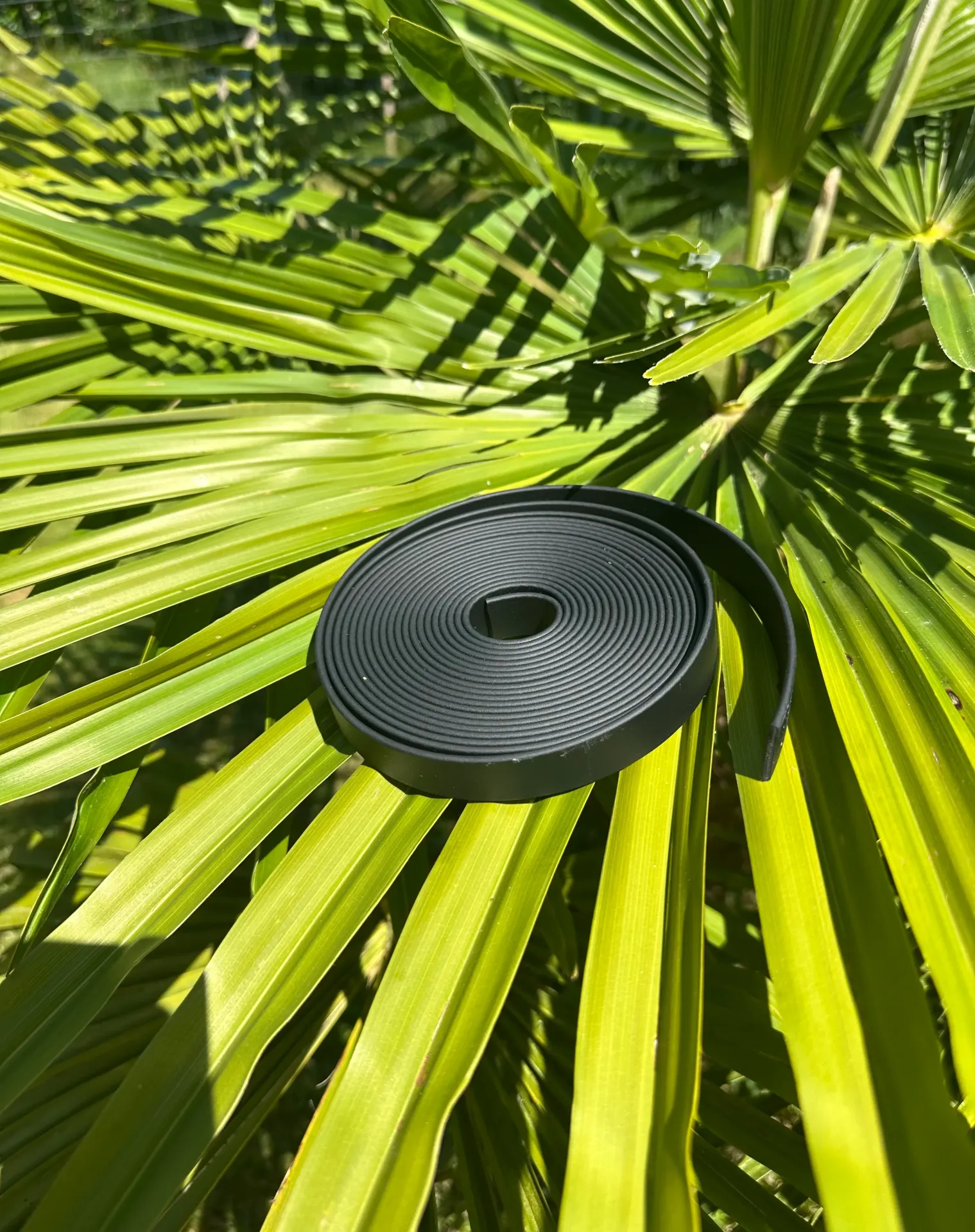 Laisse - Biothane - 2m - 19mm
