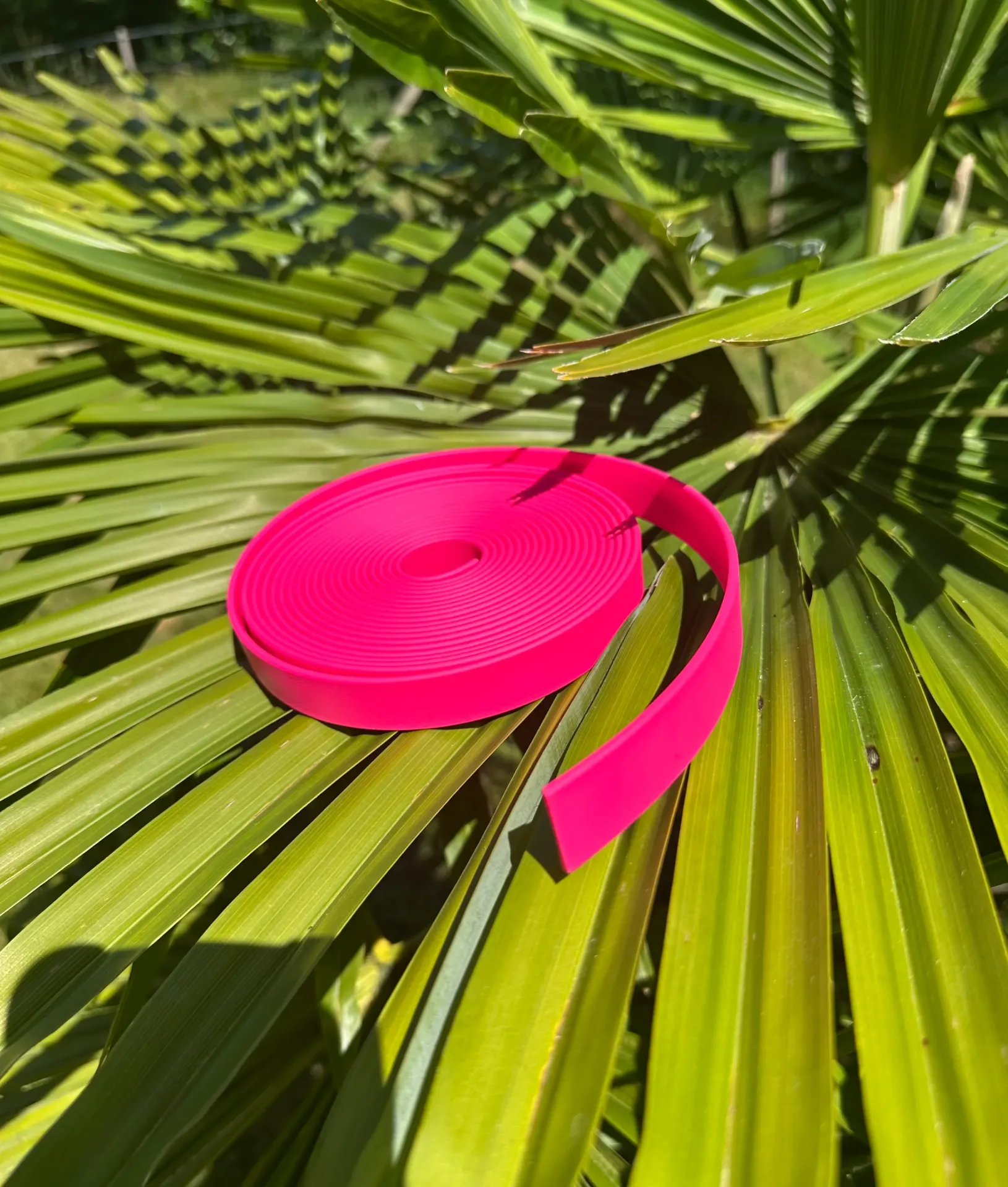 Laisse - Biothane - 2m - 19mm