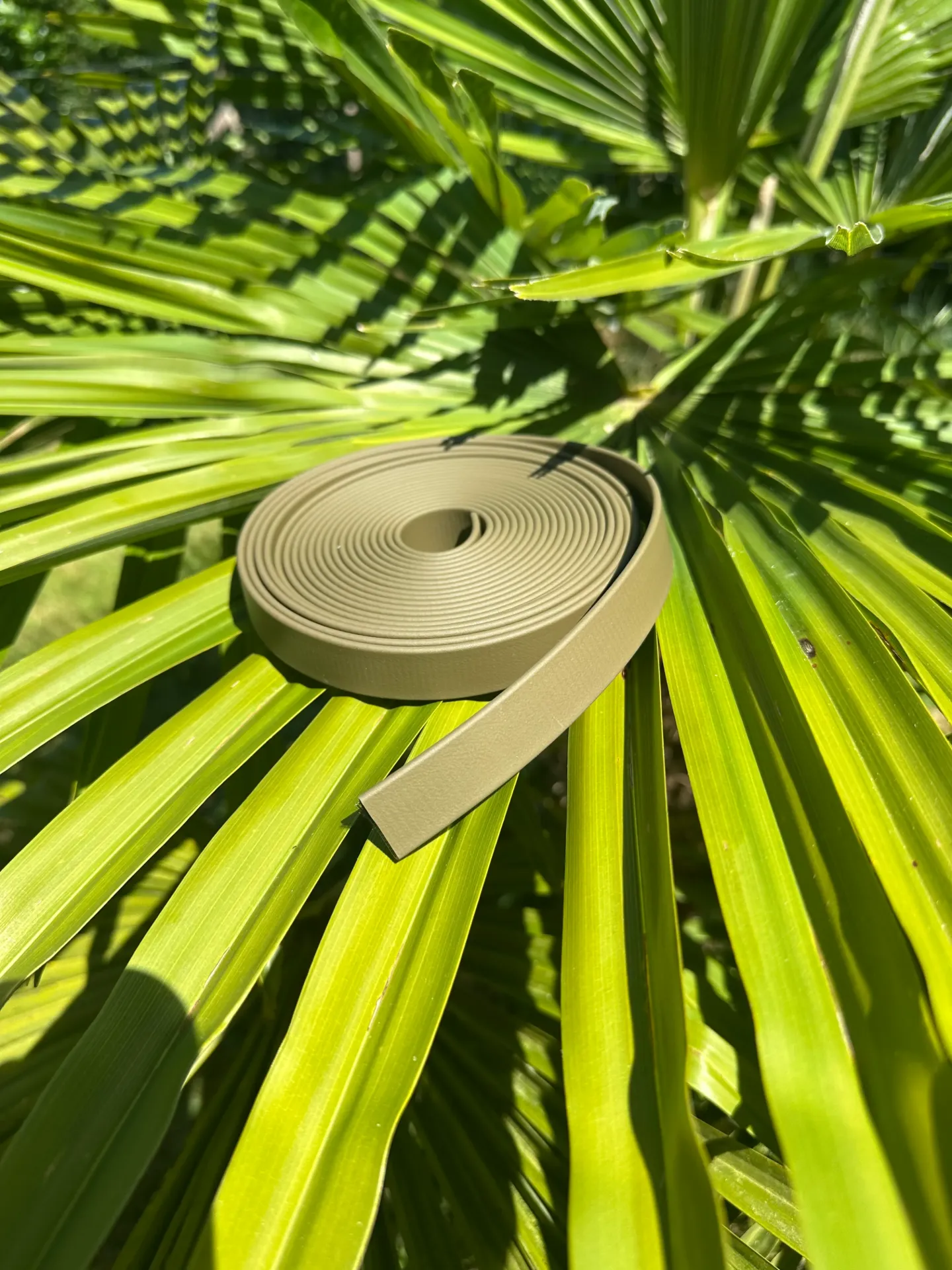 Laisse - Biothane - 2m - 19mm