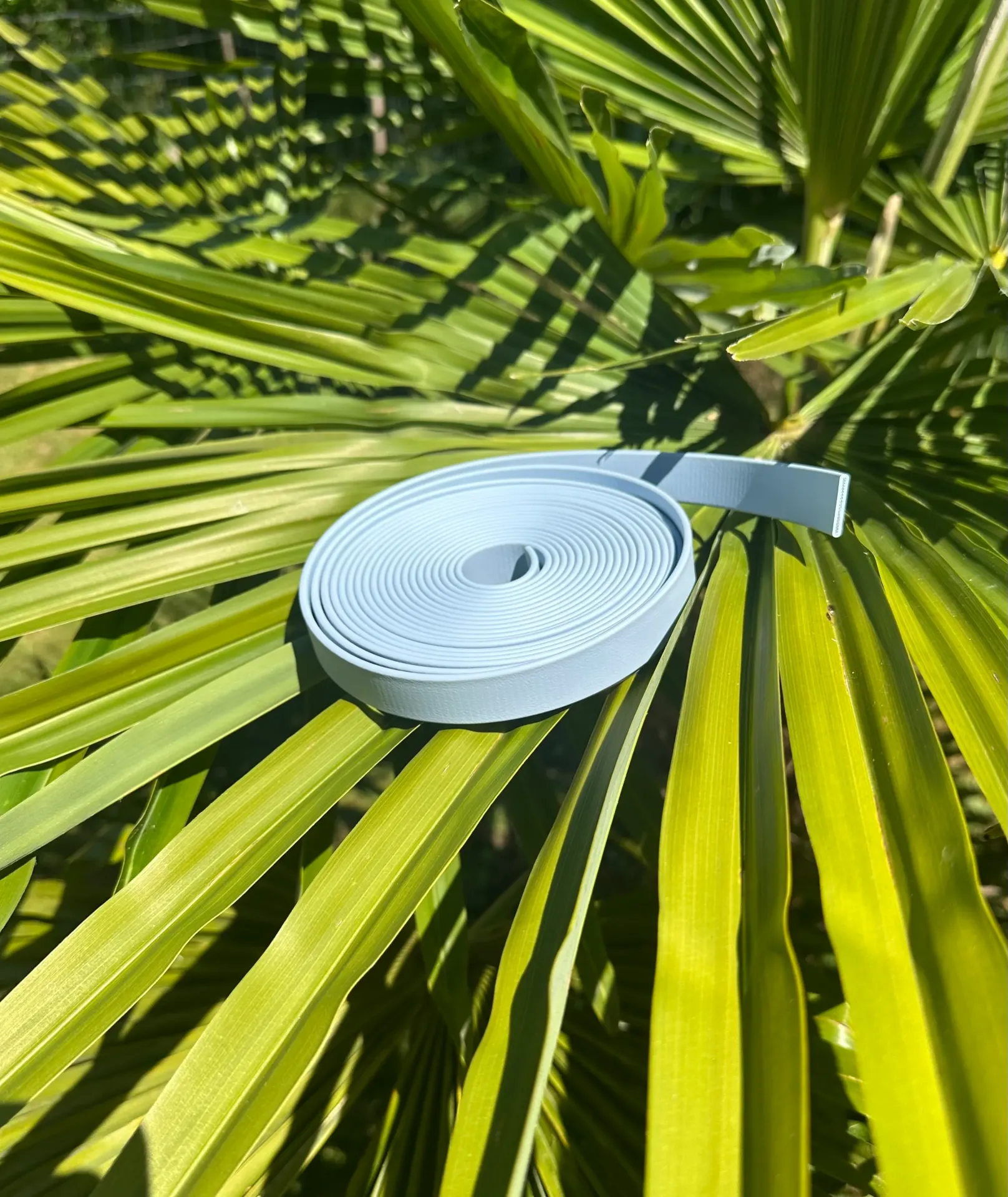 Laisse - Biothane - 2m - 19mm
