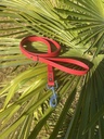 Laisse - Biothane - 2m - 19mm
