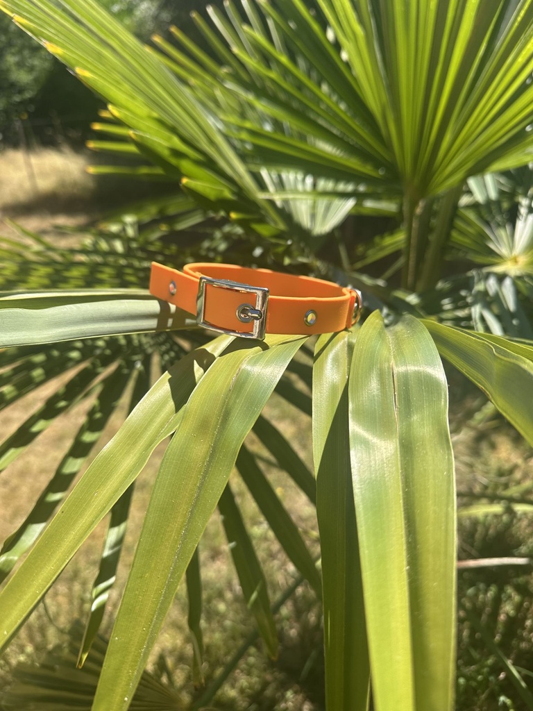[COLLIER-BIOTHANE-PEACH-S] Collier - Biothane - 19mm (Peach, Taille S -  tour de cou de 20 à 30 cm)