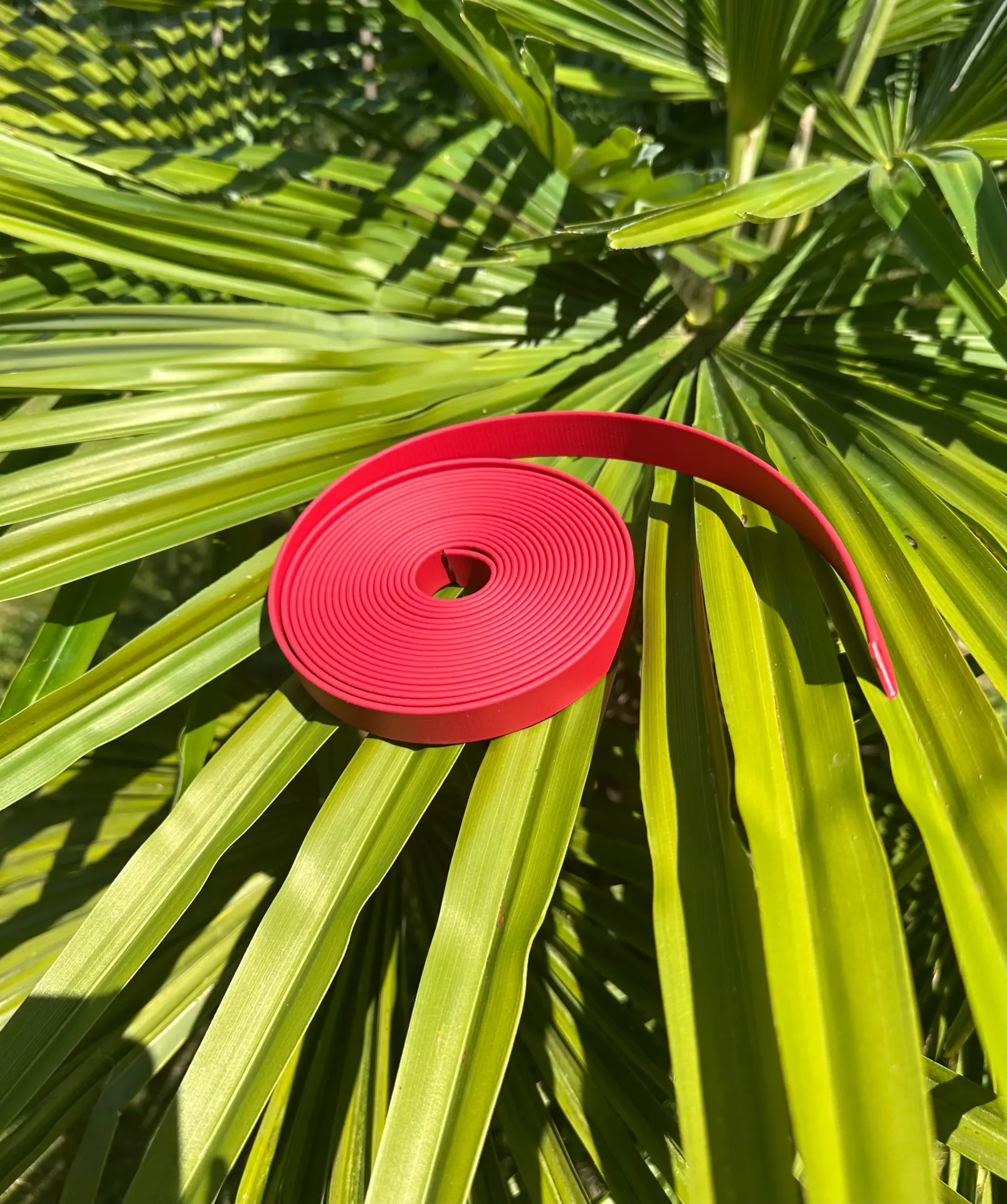 Collier - Biothane - 19mm